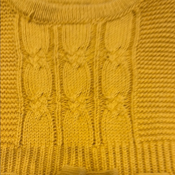 Adrienne Vittadini Bambini Mustard Knit Sweater - Picture 3 of 4